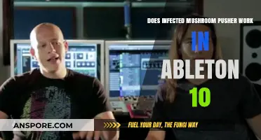 Infected Mushroom Pusher: Ableton 10 Compatibility