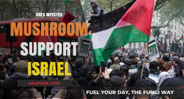 Infected Mushroom's Stance: Supporting Israel or Not?