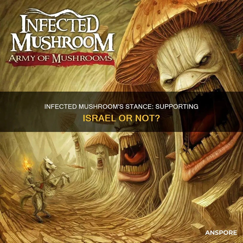 does infected mushroom support israel