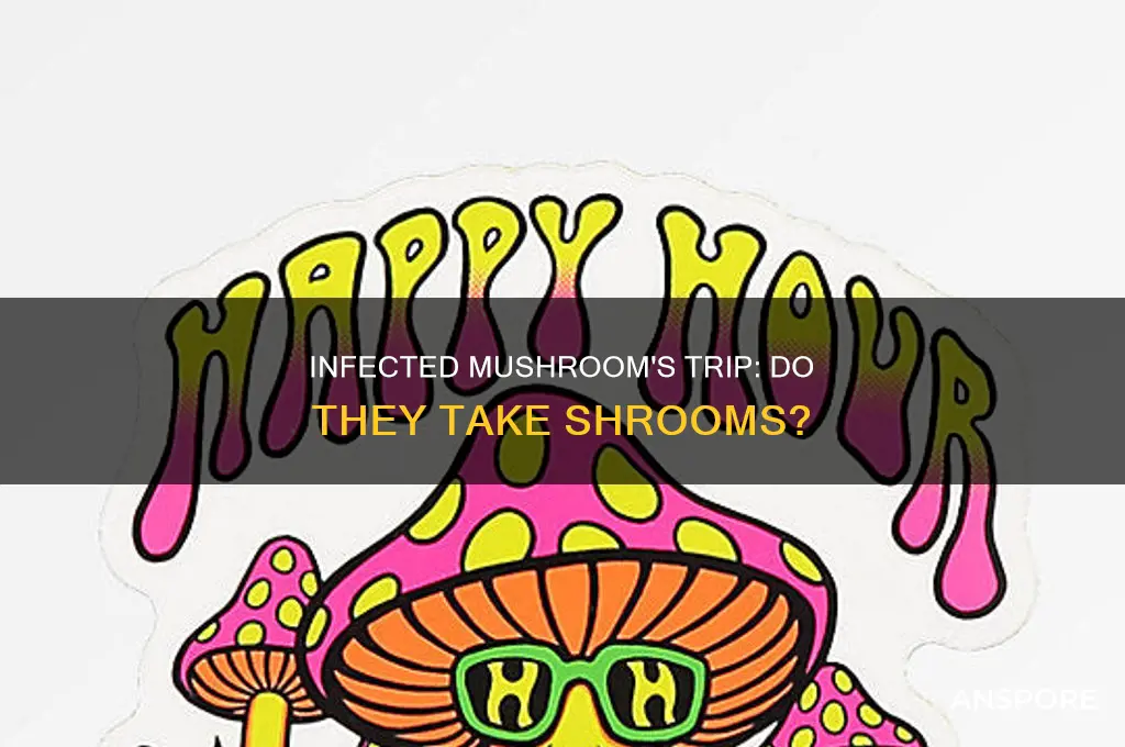 does infected mushrooms trip on mushrooms