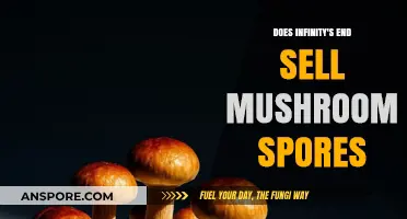 Does Infinity's End Sell Mushroom Spores? A Comprehensive Guide