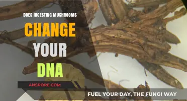 Mushrooms and DNA: The Intriguing Link