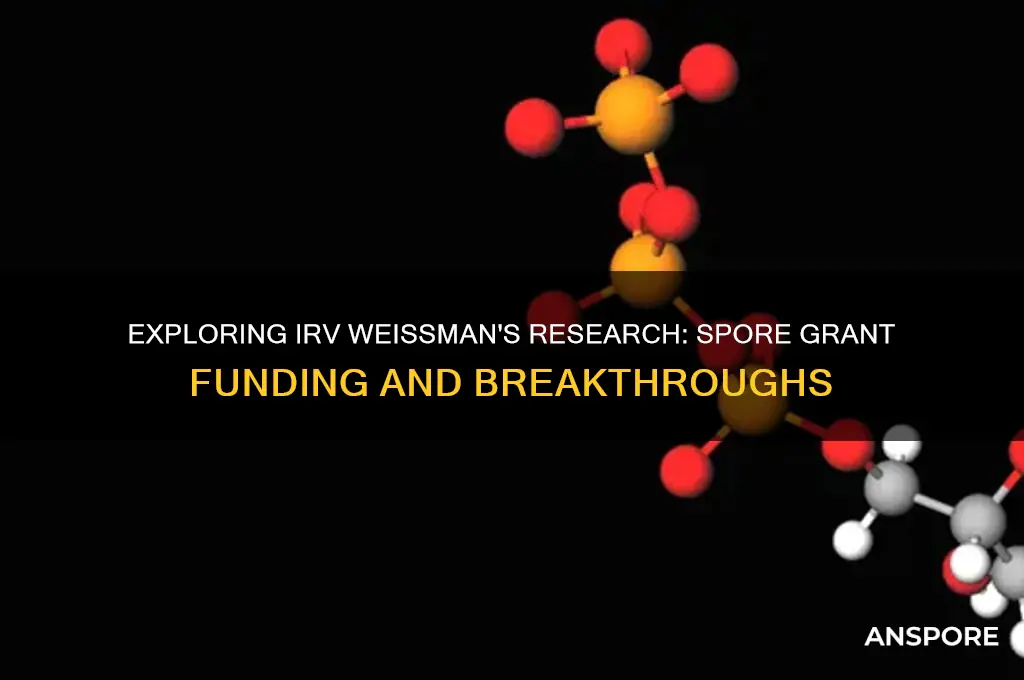 does irv weissman have a spore grant