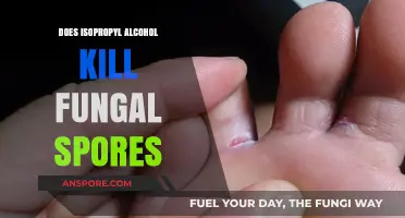 Isopropyl Alcohol's Effectiveness Against Fungal Spores: What You Need to Know