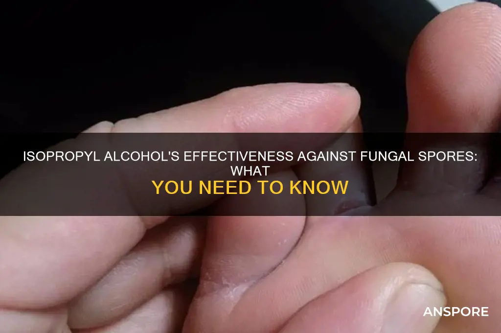 does isopropyl alcohol kill fungal spores