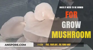 Does Humidity Matter for Growing Mushrooms? Essential Tips Revealed