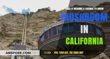 Growing Mushrooms in California: License Requirements Explained