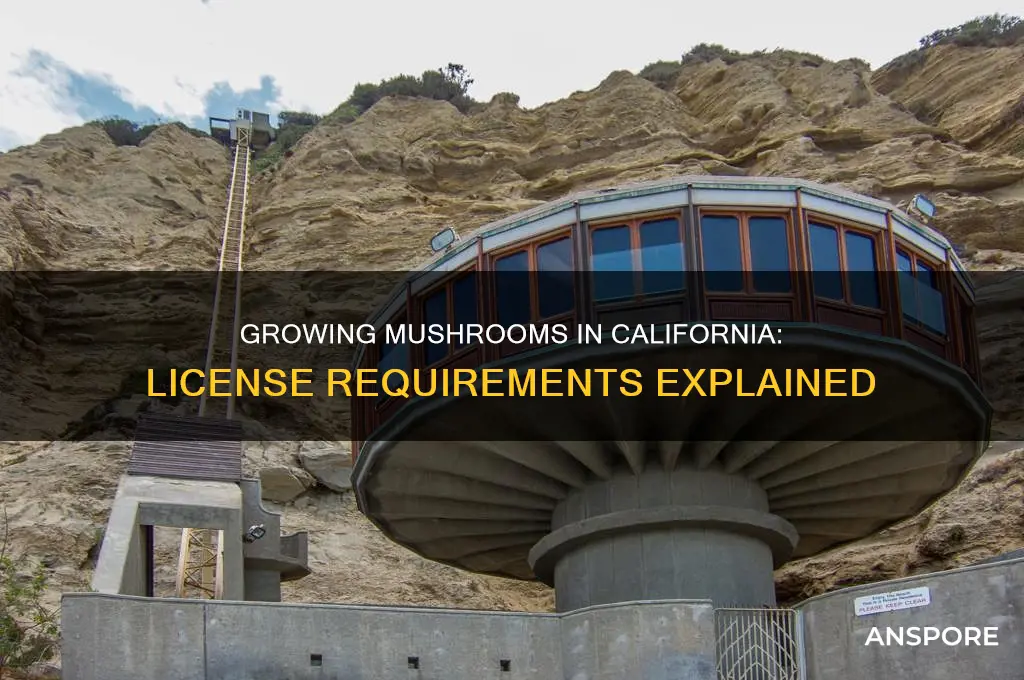 does it require a license to grow mushrooms in california