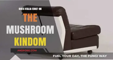 Exploring the Existence of Italia in the Mushroom Kingdom