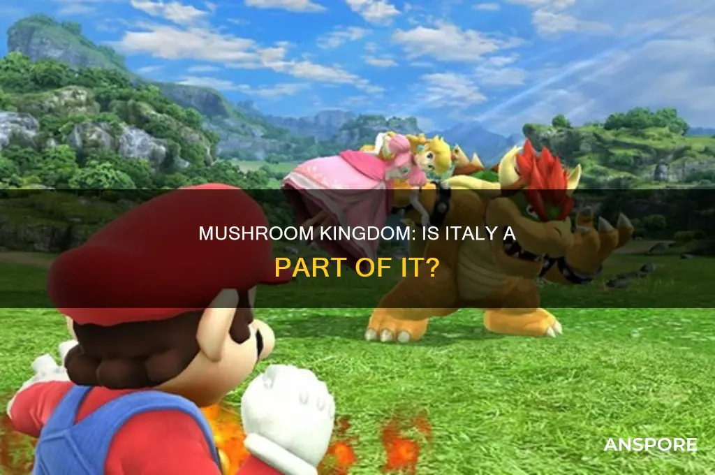 does italy exist on the mushroom kingdom