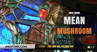 Jesus and Mushrooms: A Mind-Altering Connection?