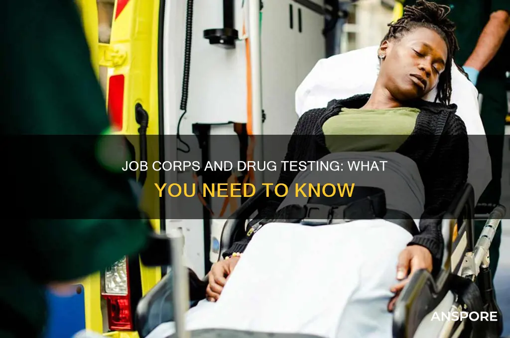 does job corps test for mushrooms