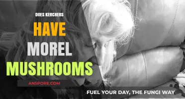 Exploring Kerchers' Menu: Do They Offer Morel Mushrooms?