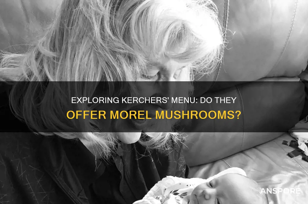 does kerchers have morel mushrooms