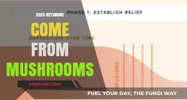 Ketamine's Mushroom Myth: Exploring the Truth