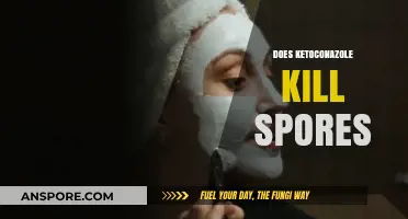 Ketoconazole's Effectiveness: Can It Eliminate Spores Effectively?