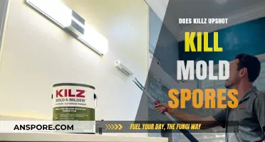Does Killz Upshot Effectively Eliminate Mold Spores? A Detailed Analysis
