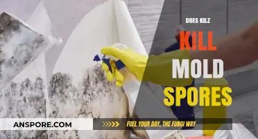 Does Kilz Kill Mold Spores? Uncovering the Truth for Homeowners