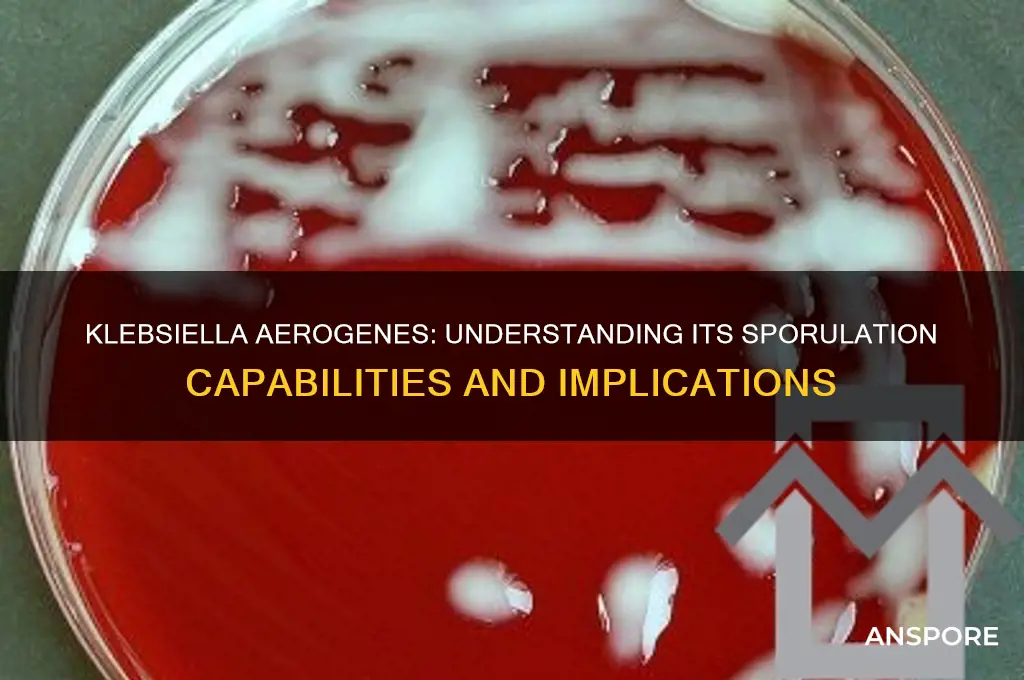 does klebsiella aerogenes form spores