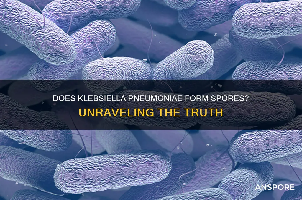 does klebsiella pneumoniae form spores