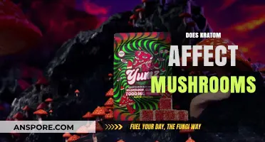 Kratom and Mushrooms: A Risky Mix?