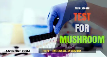 Labcorp Testing: What's the Deal with Mushrooms?