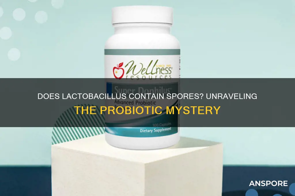 does lactobacillus contain spore