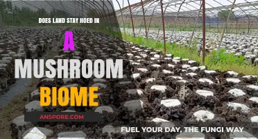 Mushroom Biome: Hoe Land for Growth?