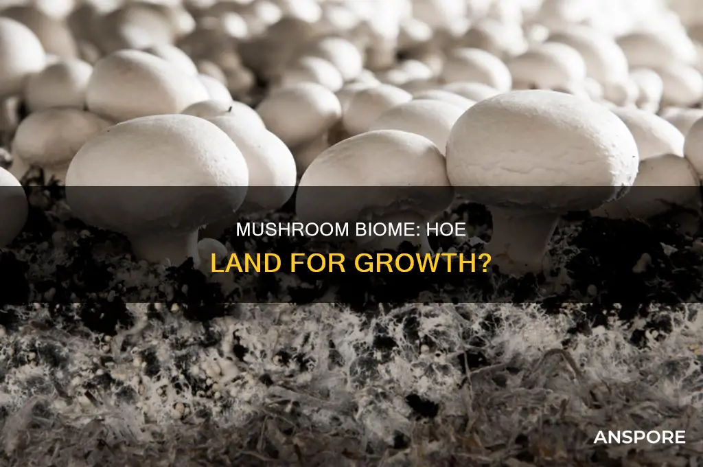 does land stay hoed in a mushroom biome