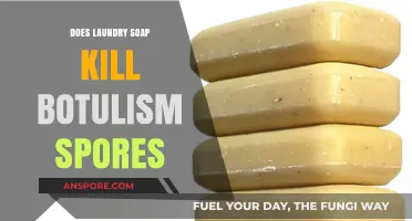 Can Laundry Soap Eliminate Botulism Spores? Uncovering the Truth