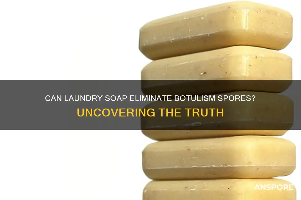 does laundry soap kill botulism spores