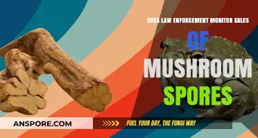 Mushroom Spores: Are Law Enforcement Monitoring Sales?