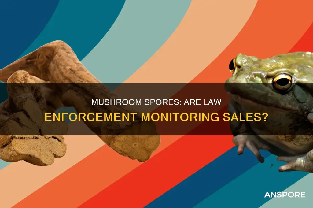 does law enforcement monitor sales of mushroom spores
