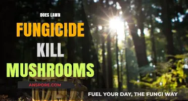 Lawn Fungicide: Effective Mushroom Killer?