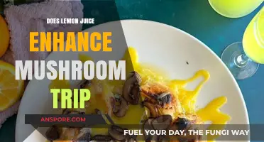 Lemon Juice: Enhancing or Ruining Your Mushroom Trip?