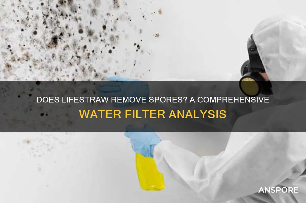 does lifestraw remove spores