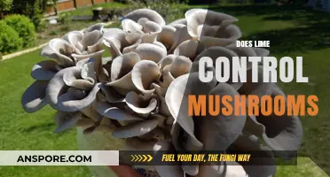 Lime's Power: Can It Control Mushrooms?