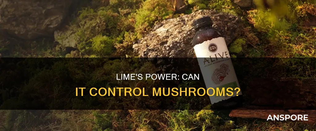 does lime control mushrooms