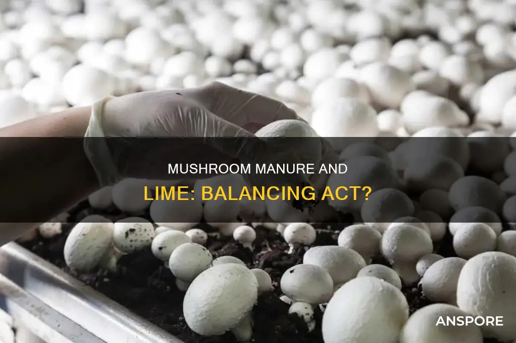 does lime equalize mushroom manure