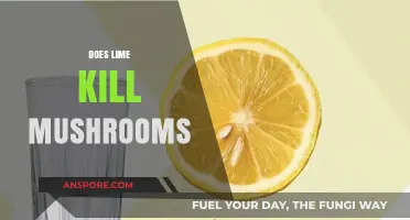 Lime's Effect on Mushrooms: Does it Kill or Cure?