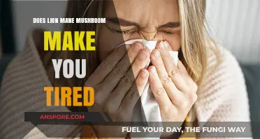 Lion's Mane Mushroom and Fatigue: Does It Cause Sleepiness?
