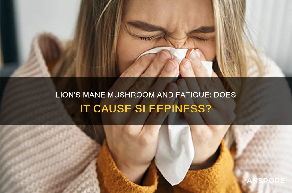 does lion mane mushroom make you tired
