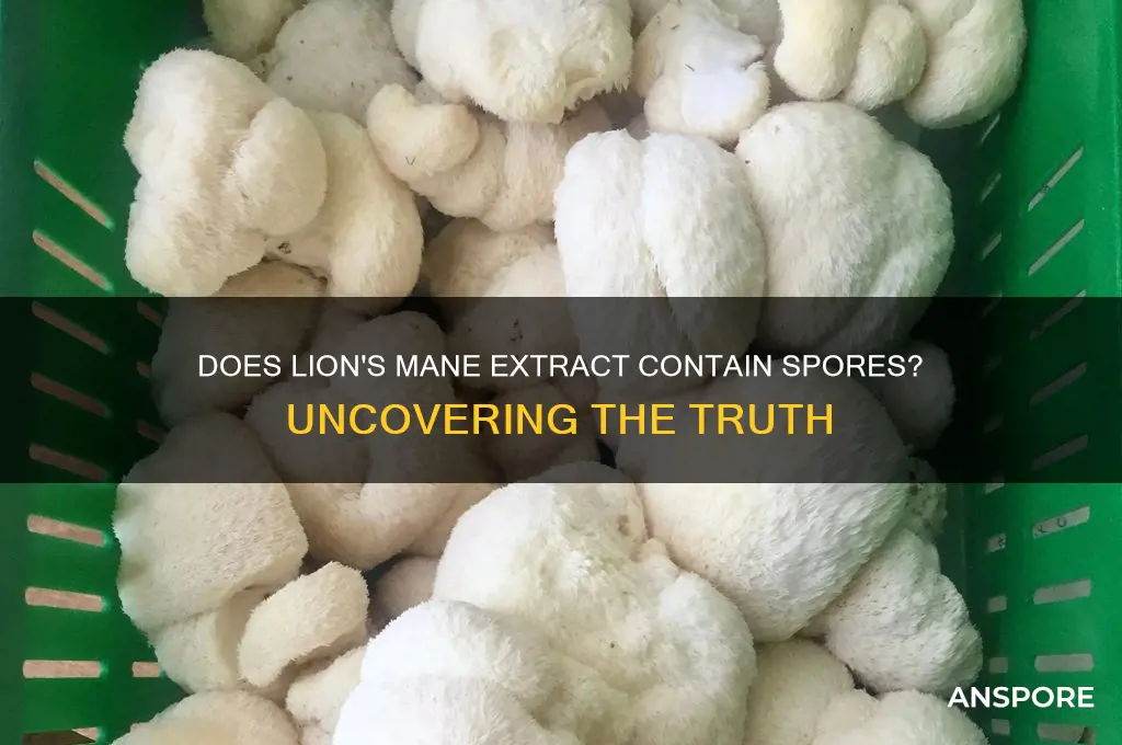 does lions mane extract have spores in it