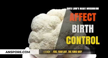 Lion's Mane Mushroom: Birth Control Interactions?