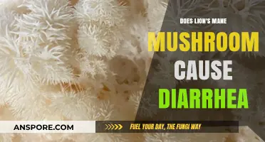 Lion's Mane Mushroom: Diarrhea Side Effect?