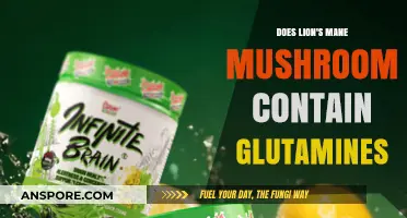 Lion's Mane Mushrooms: A Rich Source of Glutamine?