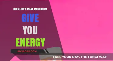 Lion's Mane Mushrooms: Energy Boost or Myth?