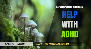Lion's Mane Mushroom: Natural ADHD Treatment?
