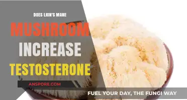 Lion's Mane Mushrooms: Natural Testosterone Booster?