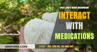 Lion's Mane Mushroom: Medication Interactions and Side Effects